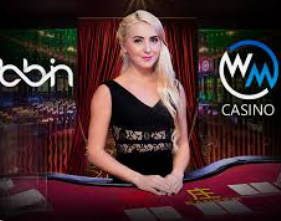 im电竞APP下载2024最新版