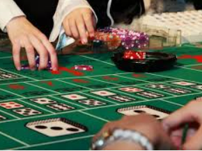 im电竞APP下载2024最新版